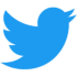 Twitter official logo